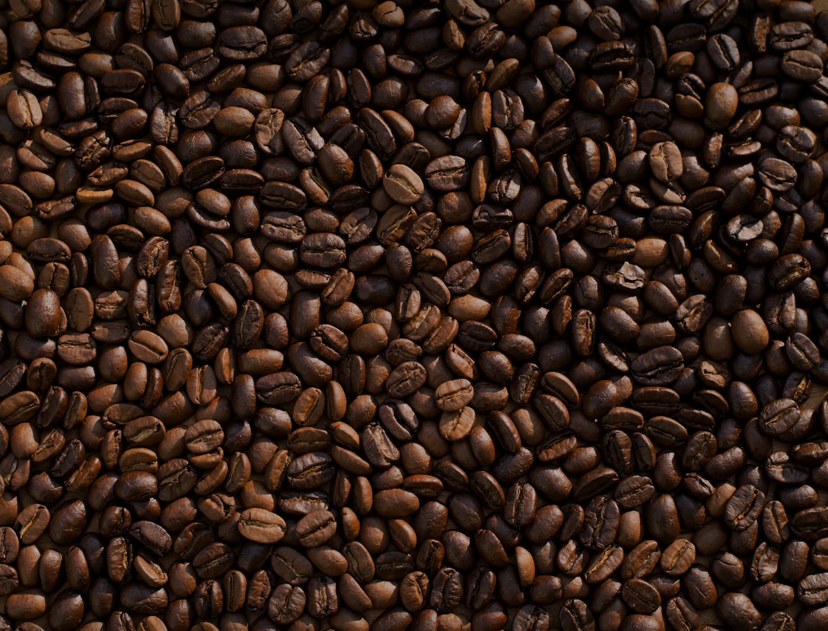 Granos de café